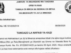 Nafasi Za Kazi Halmashauri Ya Jiji La Mwanza Juni, 2025 Nafasi Za Kazi Halmashauri Ya Jiji La Mwanza Juni, 2025