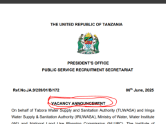 Nafasi Za Kazi Taasisi Mbalimbali Za Umma Juni, 2025 Nafasi Za Kazi Taasisi Mbalimbali Za Umma Juni, 2025