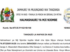 Nafasi Za Kazi Halmashauri Ya Mji Njombe Juni, 2025 Nafasi Za Kazi Halmashauri Ya Mji Njombe Juni, 2025