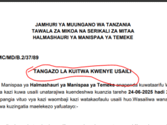Kuitwa Kwenye Usaili Halmashauri Ya Manispaa Ya Temeke Juni, 2025 Kuitwa Kwenye Usaili Halmashauri Ya Manispaa Ya Temeke Juni, 2025