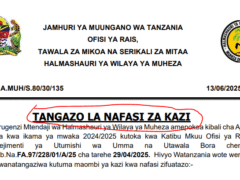 Nafasi Za Kazi Halmashauri Ya Wilaya Ya Muheza Juni, 2025 Nafasi Za Kazi Halmashauri Ya Wilaya Ya Muheza Juni, 2025
