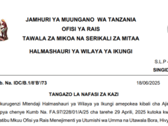 Nafasi Za Kazi Halmashauri Ya Wilaya Ya Ikungi Juni, 2025 Nafasi Za Kazi Halmashauri Ya Wilaya Ya Ikungi Juni, 2025