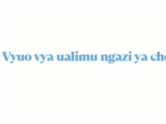 Vyuo vya ualimu ngazi ya cheti Vyuo vya ualimu ngazi ya cheti